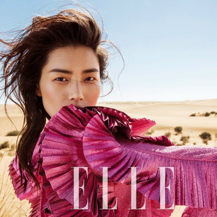 ELLE China March 2017 Liu Wen by Li Qi